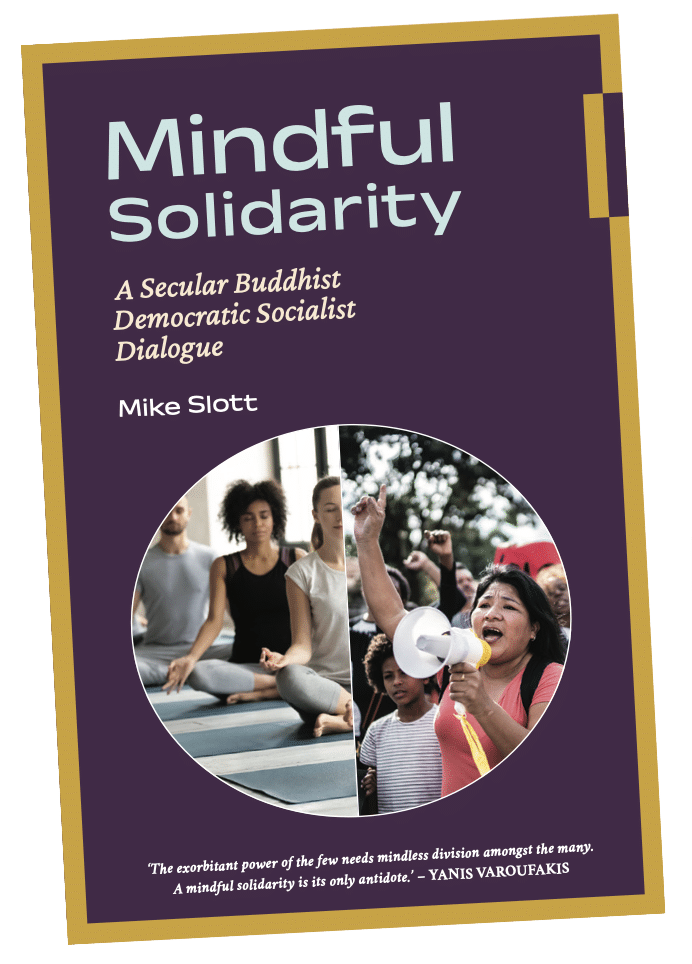 Cover of 'Mindful Solidarity', slanted