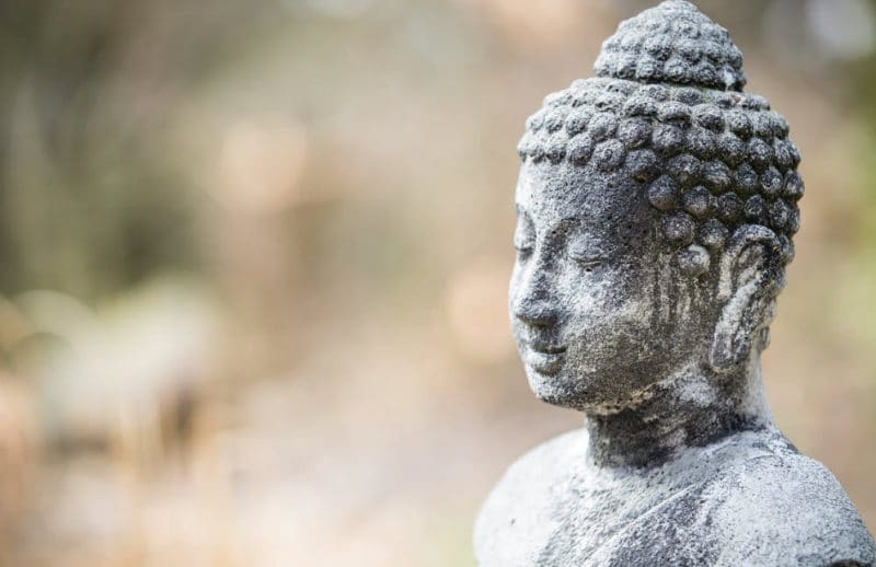 Rebirth Part 2: Is There Scientific Evidence of Rebirth? - Buddha Weekly:  Buddhist Practices, Mindfulness, Meditation
