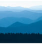 Rainier foothills lsc