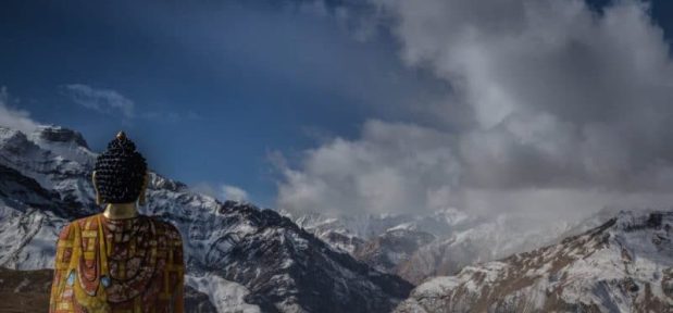 {{brizy_dc_image_alt entityId=