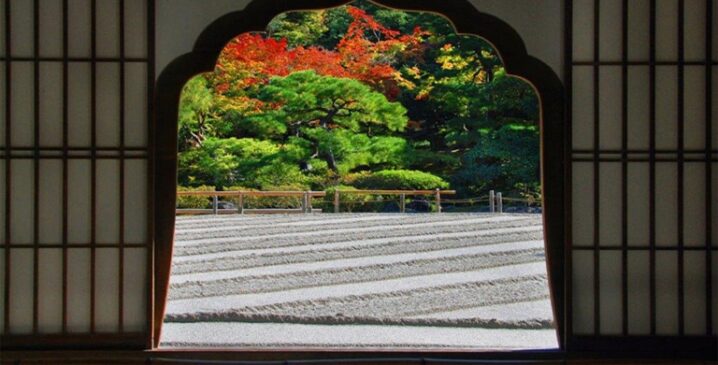 garden view crop