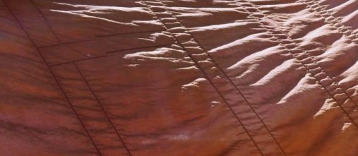 jiwon.rippling-scaled